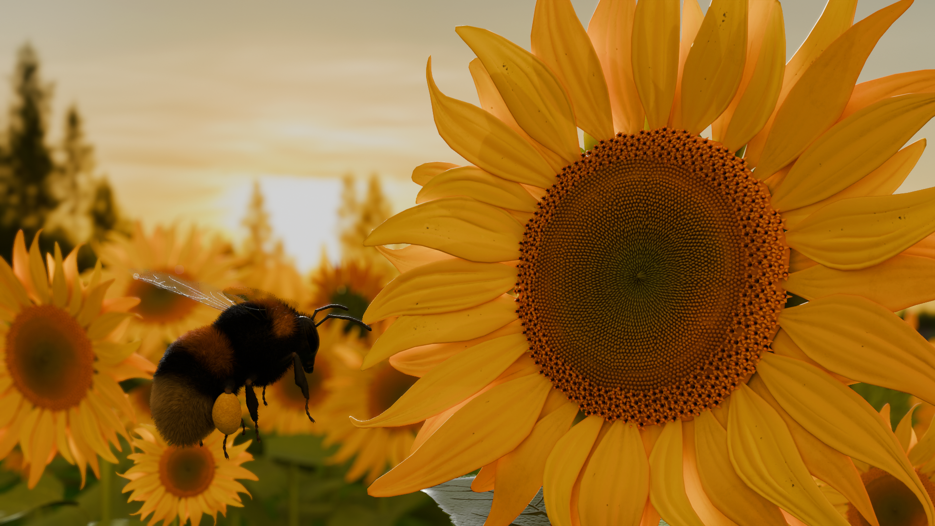 Sunflowers and Bumblebee